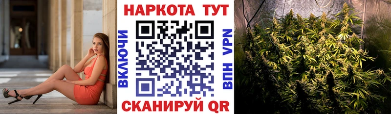 Где купить наркотики Всеволожск Кокаин  Галлюциногенные грибы  АМФ  МАРИХУАНА  СК 