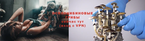 МДПВ Арсеньев