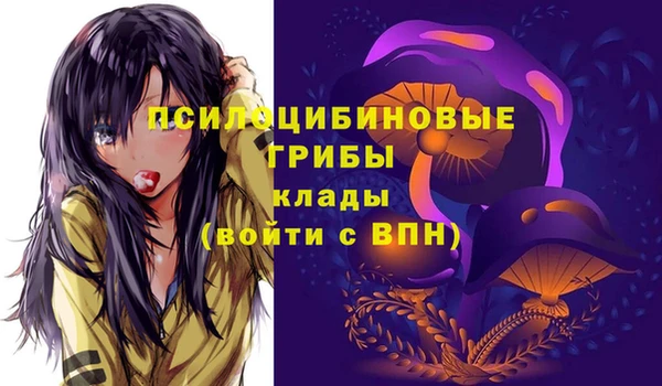 не бодяженный Аркадак
