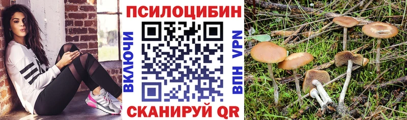 Псилоцибиновые грибы прущие грибы  закладка  Всеволожск 